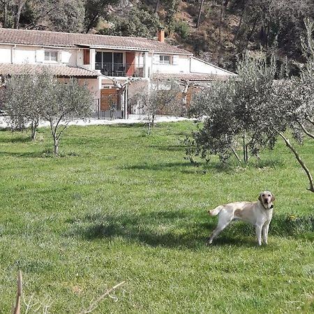 Le Mas Des Oliviers Villa Puget Eksteriør billede
